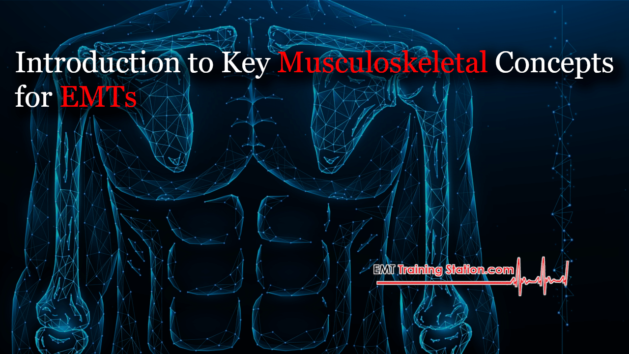 Intro Musculoskeletal Title